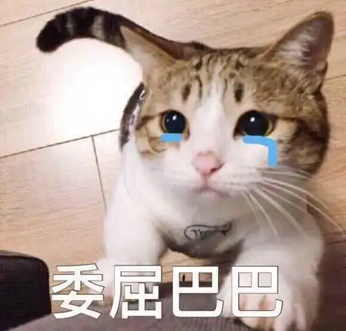 微信智障宝宝表情包猫咪