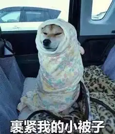 我崩溃了表情包雨夹雪